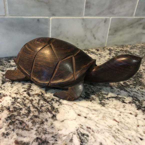 Other - Ironwood sea turtle